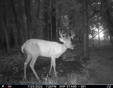 Rare 87 Acre Private Retreat with a Trout Stream - image 42