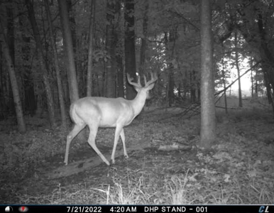 Rare 87 Acre Private Retreat with a Trout Stream - image 41