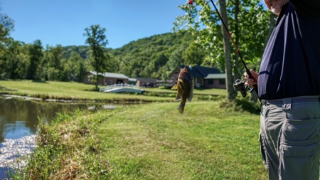 Rare 87 Acre Private Retreat with a Trout Stream - image 33