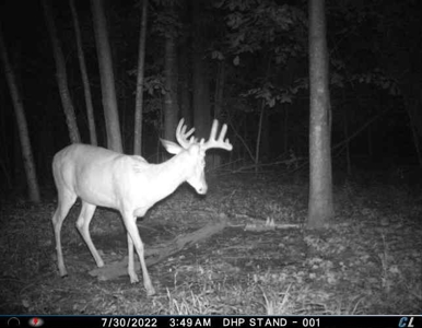 Rare 87 Acre Private Retreat with a Trout Stream - image 45