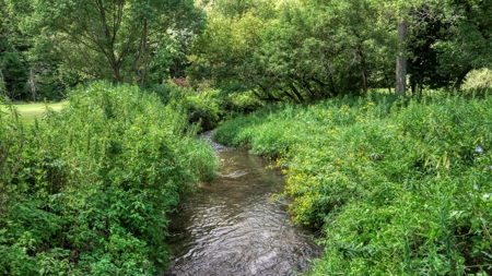 Rare 87 Acre Private Retreat with a Trout Stream - image 39