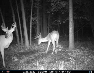 Rare 87 Acre Private Retreat with a Trout Stream - image 46