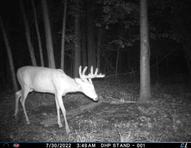 Rare 87 Acre Private Retreat with a Trout Stream - image 44