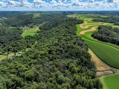 Rare 87 Acre Private Retreat with a Trout Stream - image 29