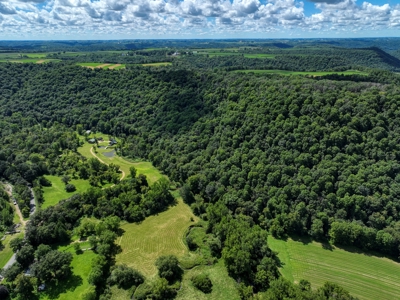 Rare 87 Acre Private Retreat with a Trout Stream - image 3