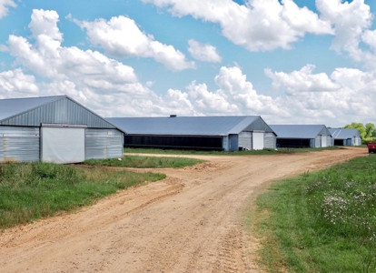 4 House Turnkey Poultry Broiler MS Farm with 60 Acres - image 1