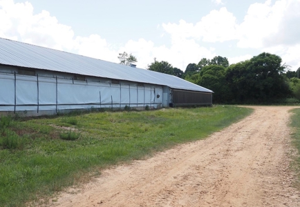 4 House Turnkey Poultry Broiler MS Farm with 60 Acres - image 7