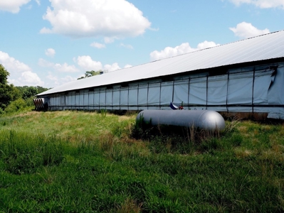 4 House Turnkey Poultry Broiler MS Farm with 60 Acres - image 6