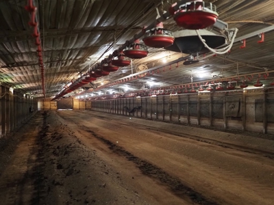 4 House Turnkey Poultry Broiler MS Farm with 60 Acres - image 10