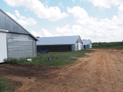 4 House Turnkey Poultry Broiler MS Farm with 60 Acres - image 3