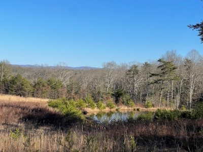 Middle TN Land For Sale with Waterfront Property, Jamestown - image 5