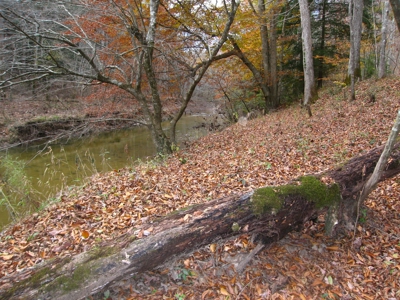 Middle TN Land For Sale with Waterfront Property, Jamestown - image 2