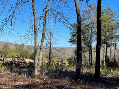 Middle TN Land For Sale with Waterfront Property, Jamestown - image 4
