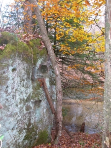 Middle TN Land For Sale with Waterfront Property, Jamestown - image 3