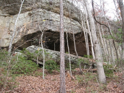 Middle TN Land For Sale with Waterfront Property, Jamestown - image 6