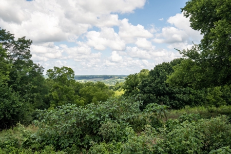 Land for Sale in Giles County, Tennessee - image 20