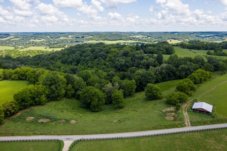 Land for Sale in Giles County, Tennessee - image 3