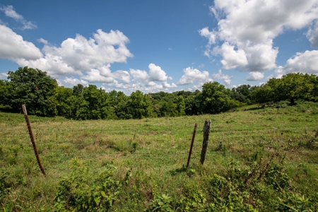 Land for Sale in Giles County, Tennessee - image 17