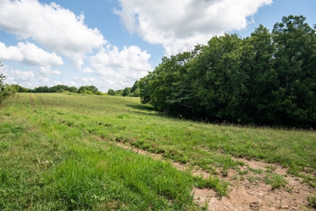 Land for Sale in Giles County, Tennessee - image 24