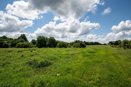 Land for Sale in Giles County, Tennessee - image 25