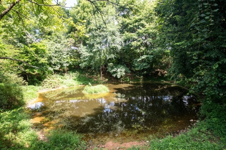 Land for Sale in Giles County, Tennessee - image 28