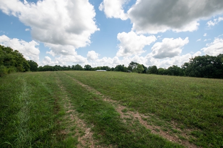 Land for Sale in Giles County, Tennessee - image 21