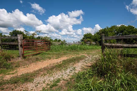 Land for Sale in Giles County, Tennessee - image 14