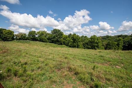 Land for Sale in Giles County, Tennessee - image 19