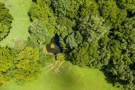 Land for Sale in Giles County, Tennessee - image 8