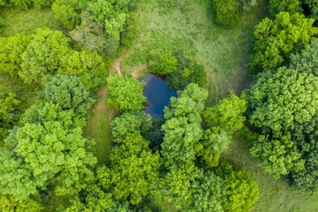 Land for Sale in Giles County, Tennessee - image 4