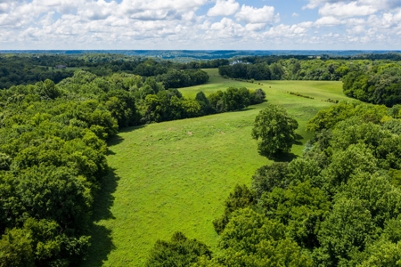 Land for Sale in Giles County, Tennessee - image 11