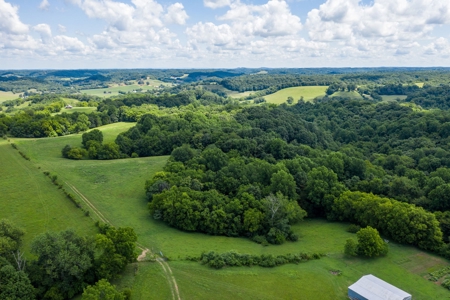 Land for Sale in Giles County, Tennessee - image 7