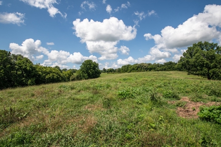 Land for Sale in Giles County, Tennessee - image 26