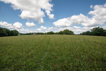 Land for Sale in Giles County, Tennessee - image 22
