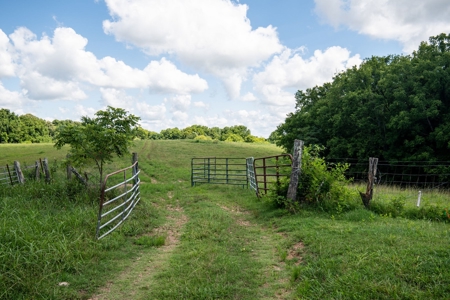 Land for Sale in Giles County, Tennessee - image 23