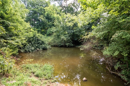 Land for Sale in Giles County, Tennessee - image 30
