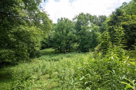 Land for Sale in Giles County, Tennessee - image 31