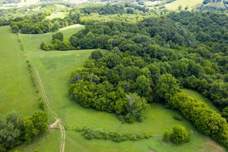Land for Sale in Giles County, Tennessee - image 6