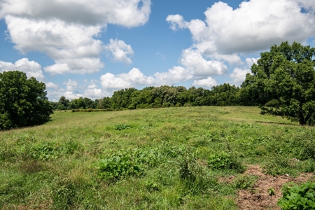 Land for Sale in Giles County, Tennessee - image 27