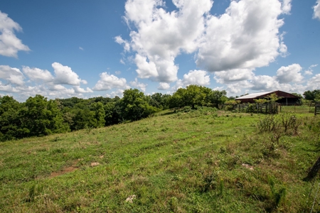 Land for Sale in Giles County, Tennessee - image 18
