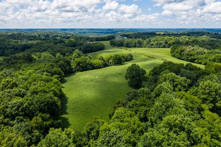 Land for Sale in Giles County, Tennessee - image 10