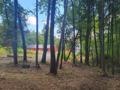 22.51 Acres Of Unrestricted Woodland - Unfinished Cabin, Ky - image 18