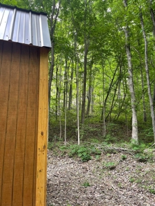 22.51 Acres Of Unrestricted Woodland - Unfinished Cabin, Ky - image 12