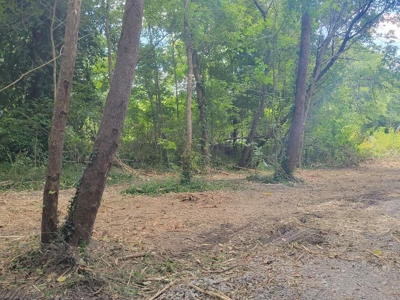 22.51 Acres Of Unrestricted Woodland - Unfinished Cabin, Ky - image 17