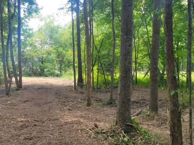 22.51 Acres Of Unrestricted Woodland - Unfinished Cabin, Ky - image 6