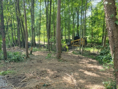 22.51 Acres Of Unrestricted Woodland - Unfinished Cabin, Ky - image 22