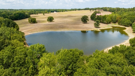 Luxury East TX Recreational Cattle Ranch for Sale in Gilmer - image 4