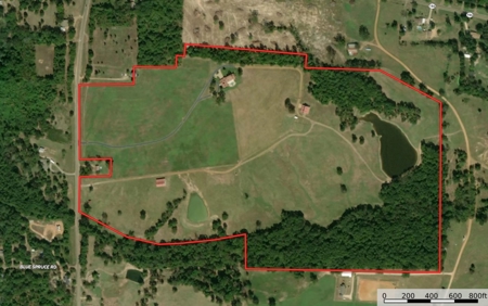 Luxury East TX Recreational Cattle Ranch for Sale in Gilmer - image 45