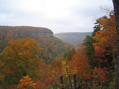 Equine Land for sale Jamestown TN Highlands Big South Fork - image 3