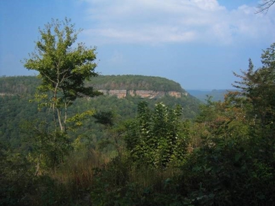 Equine Land for sale Jamestown TN Highlands Big South Fork - image 1